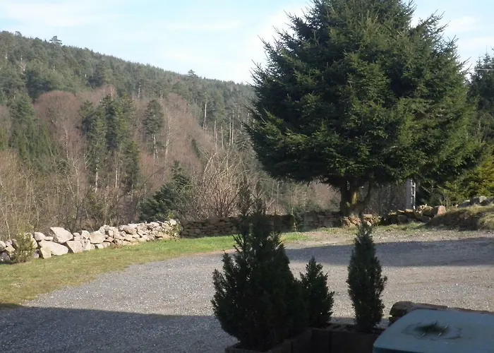 Hébergement de vacances Les Melezes Dabo